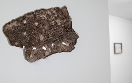 GALERIE CHLOE SALGADO